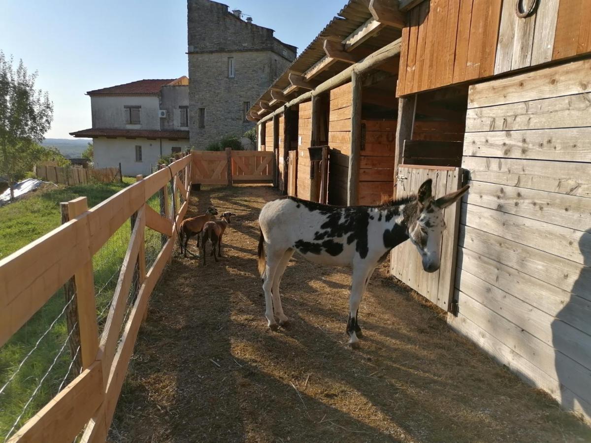 Les Hauts Vallons *